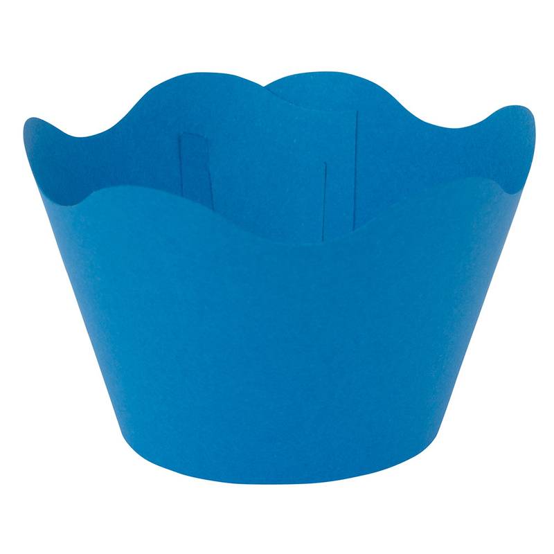 Cupcake Wrappers Large (Set of 10)
