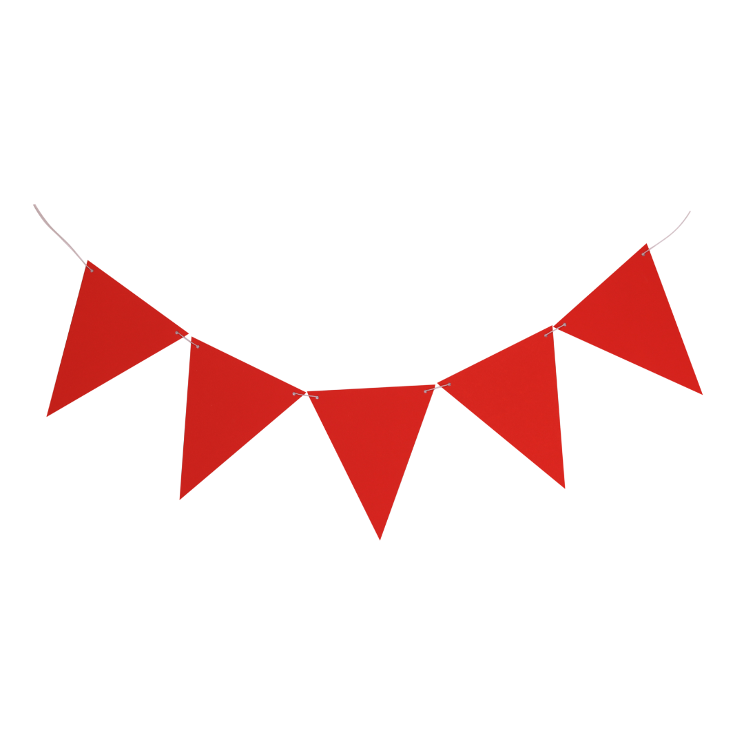 Flag - Color Block